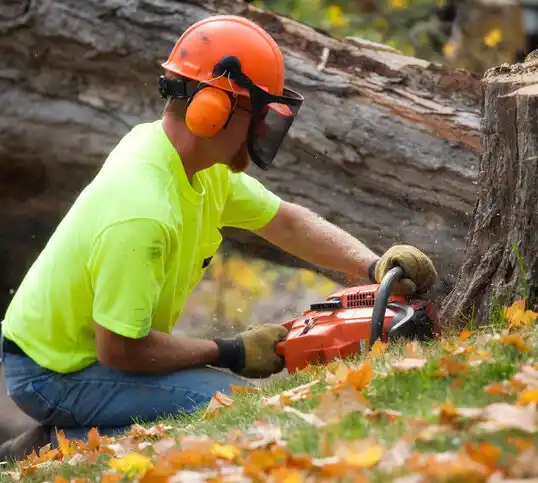 tree services Escatawpa